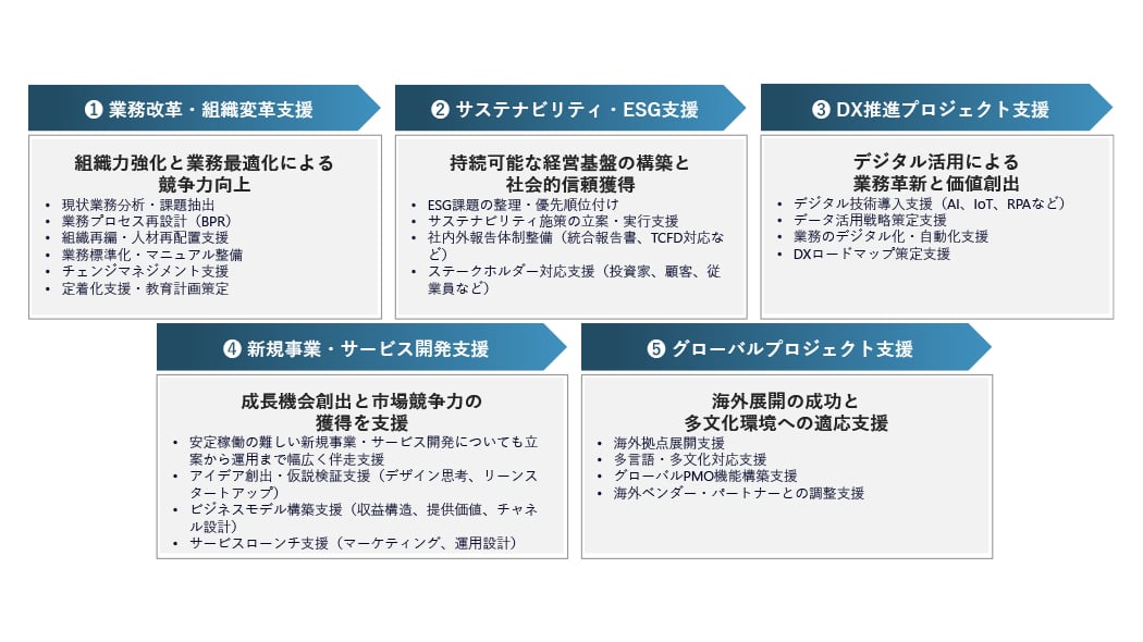 PMOサービス一覧の説明（非ITプロジェクト）
